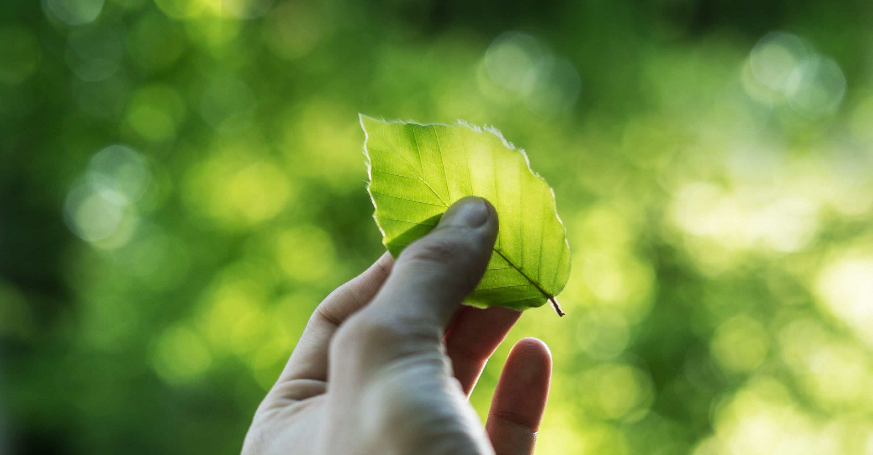 CSE Clean Solution GmbH